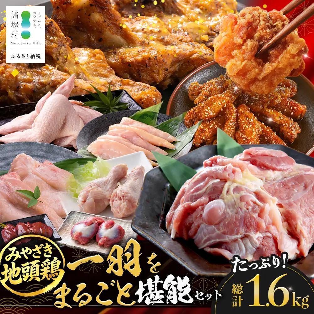 みやざき地頭鶏 1羽をまるごと堪能セット 約1.6kg 冷凍｜鶏肉 地鶏 モモ ムネ ササミ 手羽先 手羽元 レバー 砂肝 ガラ 1羽まるごと ロースト チキン じとっこ 真空パック 興洋開発株式会社