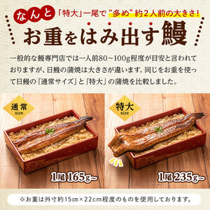 日ノ本一の鰻の蒲焼き＜特大＞4尾セット(計940g以上) うなぎ 鰻 ウナギ 国産 鹿児島県産 九州産 蒲焼き 冷凍 うな重 ひつまぶし d0-027