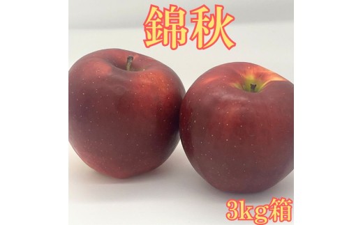 錦秋(きんしゅう) 3kg箱 ＜9月下旬より発送＞ 長野県 南信州 高森町 りんご