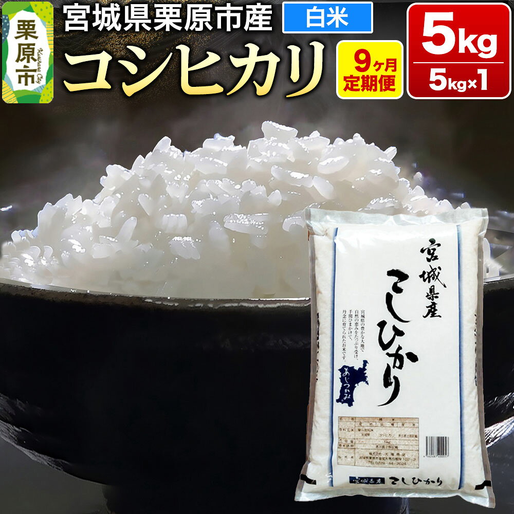 【ふるさと納税】《定期便9ヶ月》【令和7年産・白米】宮城県栗原産 コシヒカリ 毎月5kg (5kg×1袋)×9ヶ月 [米 こめ コシヒカリ 美味 おいしい 宮城 栗原 大場商店]