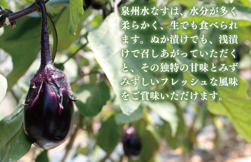 【圧倒的企業努力】水なすの青果と白ぬか漬け4個セット いずみピクルス NSW＜スピード発送＞ 005A717