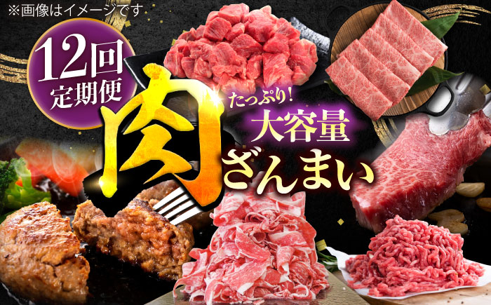 
【12回定期便】肉ざんまい定期便 大家族 大容量 たっぷり/黒毛和牛 牛肉 バラエティー 定期【川崎畜産】 [IAX052]
