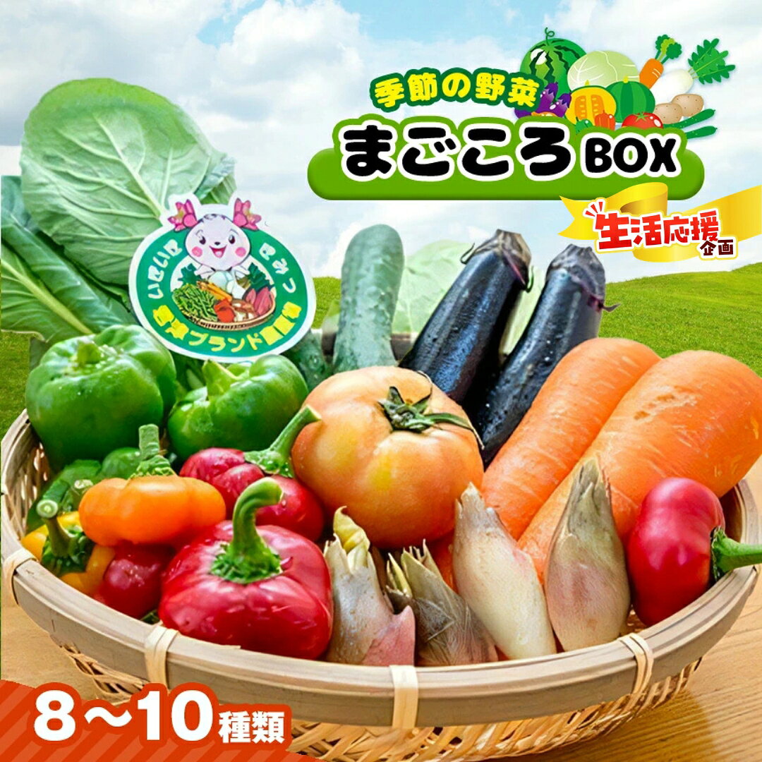 【ふるさと納税】季節の野菜 旬の採れたて野菜 8～10種類 まごころBOX | 送料無料 人気の直売所 新鮮野菜 人気の直売所 直送 JA きみつ 味楽囲（みらい）さだもと店 冷蔵 君津市 きみつ 千葉県