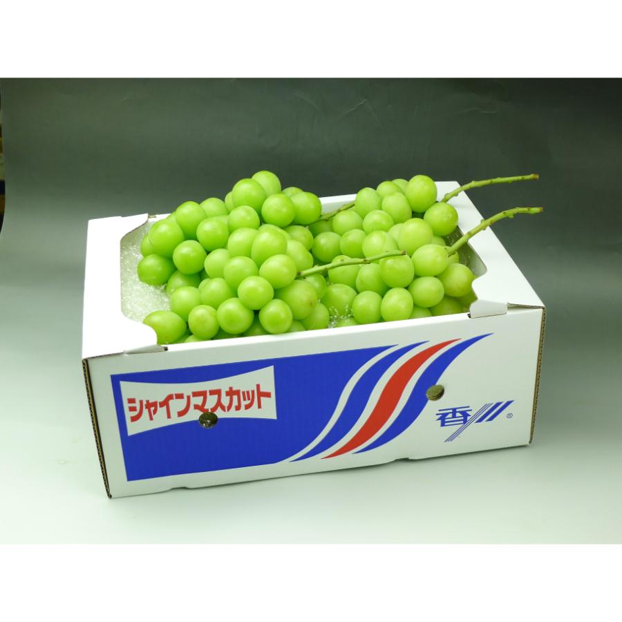 シャインマスカット2kg【3～5房】旬のもぎたて特秀品