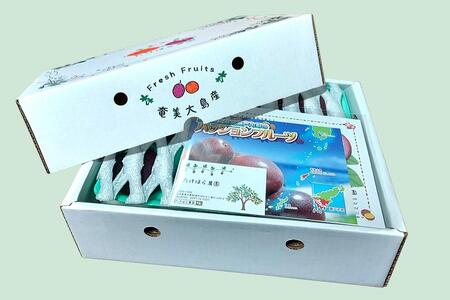 ★品切中★【2024年発送分 先行受付】パッションフルーツ 化粧箱12個入り（L玉）【たけはら農園】