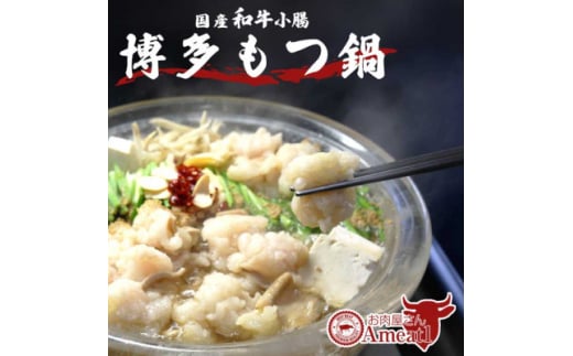 えーみーとわん 国産牛もつ鍋セット(2～3人前)しょうゆ味【1548916】