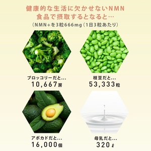 0060-105-01 NMN サプリメント 20000mg 日本製 国内製造 GABA ボタンボウフウ 5-ALA 核酸 ビタミンE ビタミンC クエン酸 鉄 Na 葉酸 daina NMN+ 90