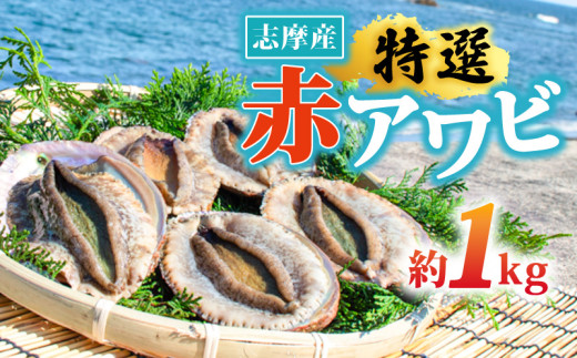 あわび 志摩産あわび 約1kg (3～5個程度) 【 あわび アワビ 鮑 赤アワビ 殻付きあわび 国産あわび 伊勢志摩 海鮮 高級海鮮 海鮮グルメ 特産品 お取り寄せグルメ 酒蒸し バター焼き ソテー 鉄板焼き 刺身用 家庭用 ギフト用 贈答用 三重県 志摩市 】