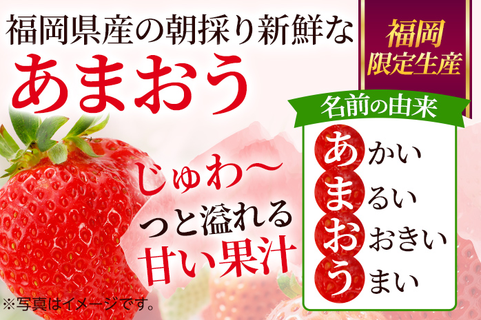 【先行受付】農家直送 朝採り新鮮いちご【博多あまおう】＜12月より順次発送＞ 約270g×2パック 福岡県産 苺 イチゴ 朝採れ 冷蔵 スイーツ ジュース ギフト プレゼント お土産 九州 福岡土産 