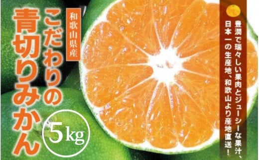 青切り みかん 5kg / 極早生 極早生みかん 温州みかん 甘い 家庭用 和歌山 柑橘 ※9月下旬～10月順次発送 ※北海道・沖縄・離島への配送不可  【nuk001-r-5B】