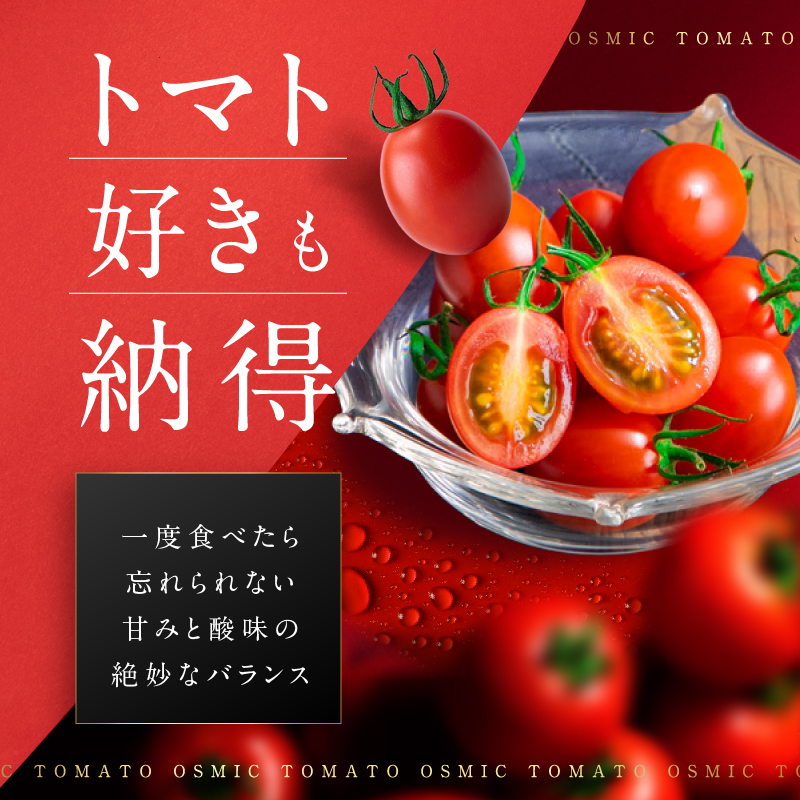 ミニトマト OSMIC トマト mini Premium 1kg フルーツトマト プチトマト 野菜 旬の野菜 季節の野菜 千葉市