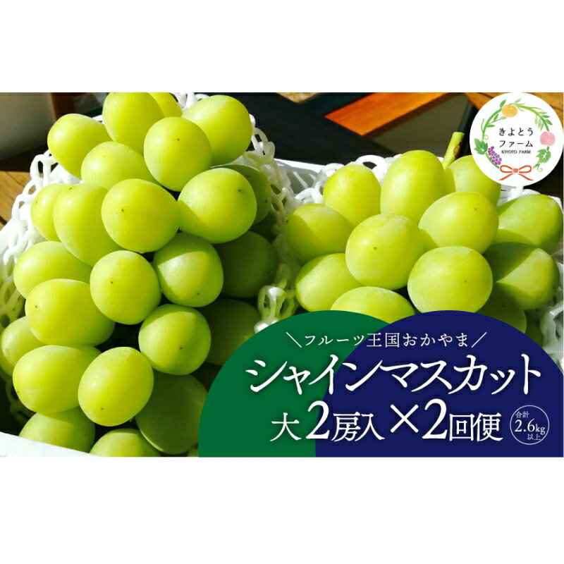 【ふるさと納税】【発送月固定定期便】【きよとうファーム】シャインマスカット大2房の満足便!/全便計2.6kg〜全2回【配送不可地域：離島】【4066234】【KF-T044-02】