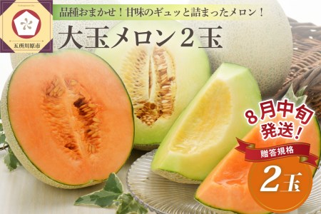 メロン　贈答大玉2個【2025年8月中旬発送】贈答規格メロン 大玉2個 青森メロン 五所川原メロン