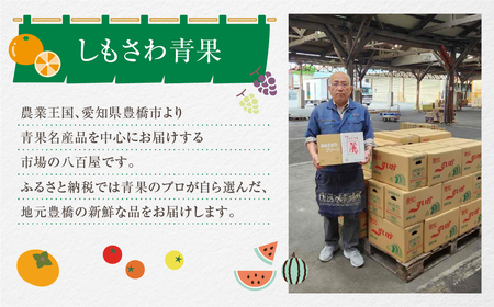 一流青果店厳選！フルーツ定期便 3回（梨・ぶどう・メロン）
