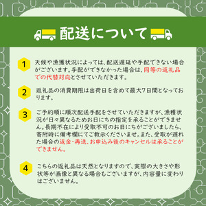 北海道 利尻 島産「朝どり」生うに塩水パック80g×6パック（蝦夷 バフンウニ）［2024年6月発送開始先行受付] ウニ 塩水ウニ