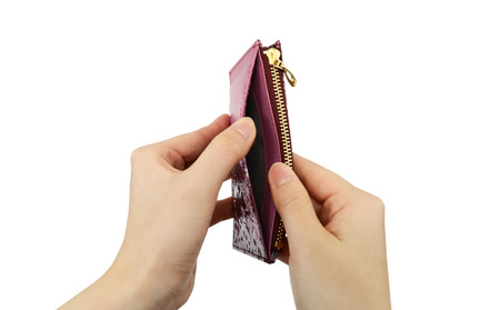 【浅草文庫】フラグメントケース〈千鳥草柄〉(カラー：ボルドー)