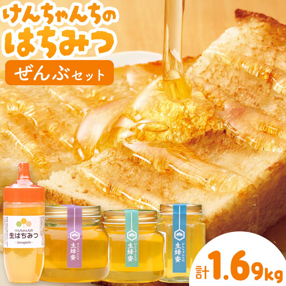 【ふるさと納税】けんちゃんちのはちみつ 200g 300g 460g 730g 全部セット《30日以内に出荷予定（土日祝除く）》ふるさと納税 はちみつ ハチミツ 蜂蜜 国産蜂蜜 天然蜜蜂 徳島県 佐那河内村 送料無料