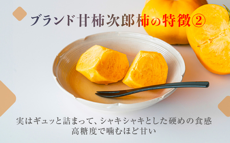 次郎柿 5kg 15~25玉 訳あり 甘 柿