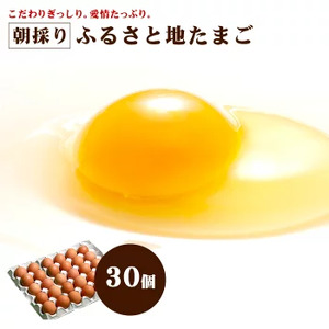 二つ星☆☆卵 【12ヶ月定期便】ふるさと地たまご計360個（30個×12回）1回あたり5個破損補償含む