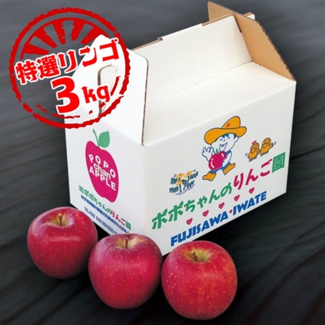 【限定9月～12月発送】いちのせきの「旬りんご」約3kg