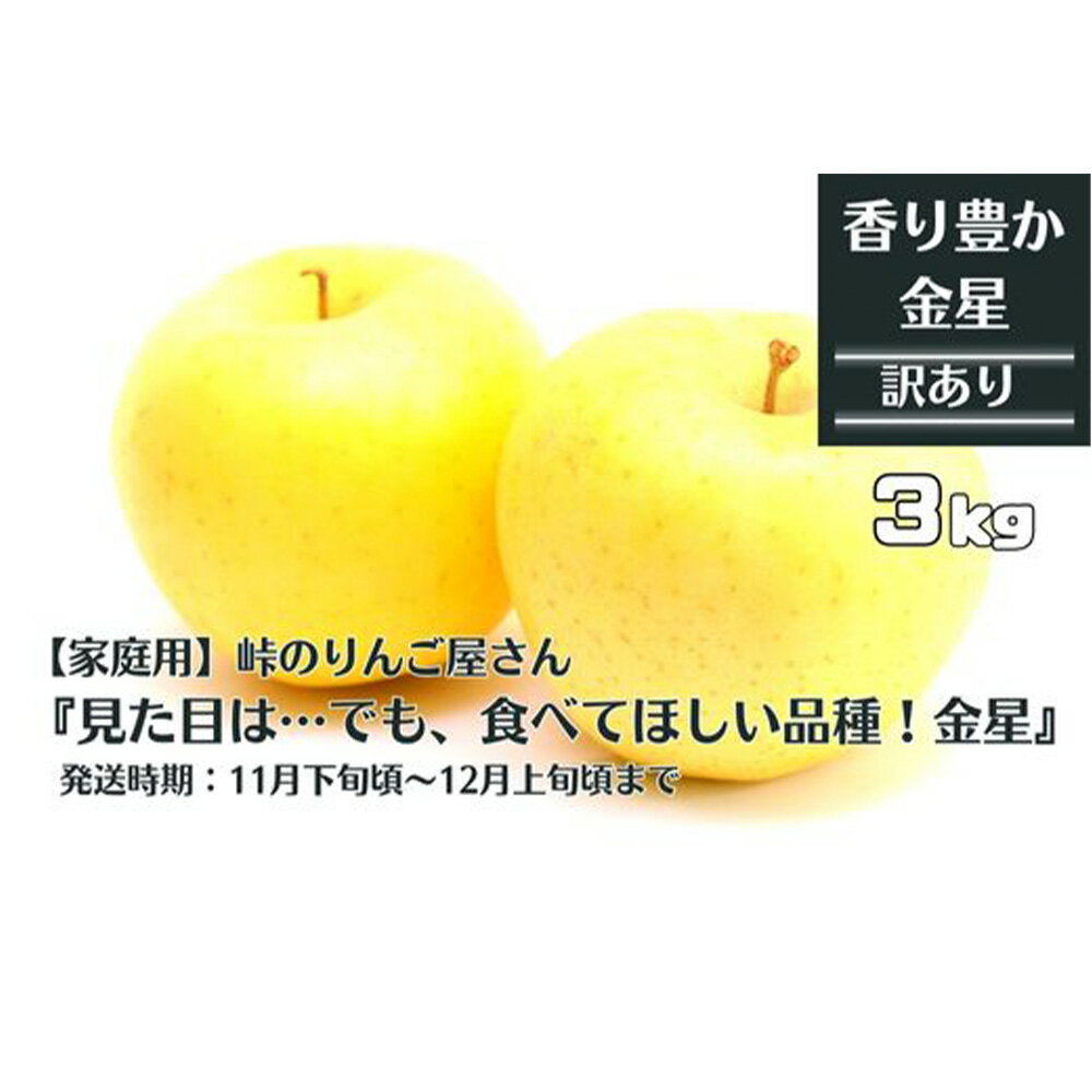 【ふるさと納税】先行予約 峠のりんご屋さん 金星 3kg（10〜12 玉入り） 家庭用 林檎 りんご リンゴ 岩手県 果物 フルーツ くだもの