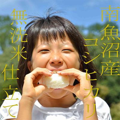 ふるさと納税 南魚沼市 【毎月定期便】《吟精 無洗米》南魚沼産コシヒカリ10kg全12回 |  | 02