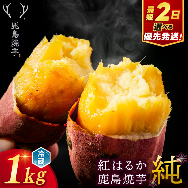 【ふるさと納税】【人気返礼品】鹿島焼芋 純 1kg 選べる 通常発送 優先発送【冷蔵 冷やし 焼き芋 やきいも さつまいも 芋 お菓子 おやつ デザート スイーツ 和菓子 和スイーツ 鹿嶋市 茨城県】