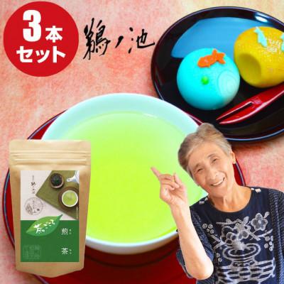 ふるさと納税 八女市 茶ごころ100g入り3袋セット