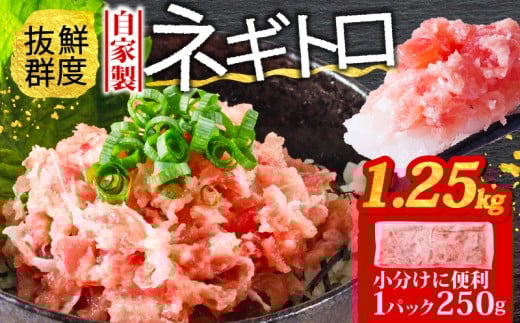 ネギトロ 1.25kg (250g×5パック) 冷凍 小分け | まぐろ 鮪 ネギトロ ねぎとろ まぐろたたき まぐろのたたき マグロたたき ネギとろ ねぎトロ maguro 愛媛県 松山市
