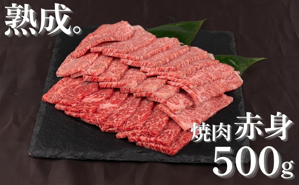
                  「山勇牛」焼肉用 赤身 500g 牛肉 和牛 飛騨牛 肉 稀少部位 焼き肉 冷凍 飛騨市 高評価  赤身牛肉 赤身 熟成
                