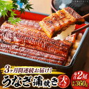 【ふるさと納税】【うなぎや】 【3回定期便】 炭火焼 うなぎの蒲焼き 2尾 【紀州備長炭使用】 鰻 ウナギ 丑の日　多治見市[TFO007]