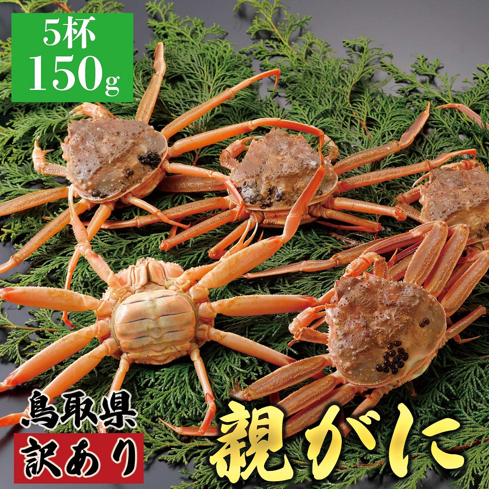 1068.【2025年12月発送】鳥取県産 特撰 親がに 姿【セコガニ】（なま）【訳あり】150g 5杯 313726_BS070