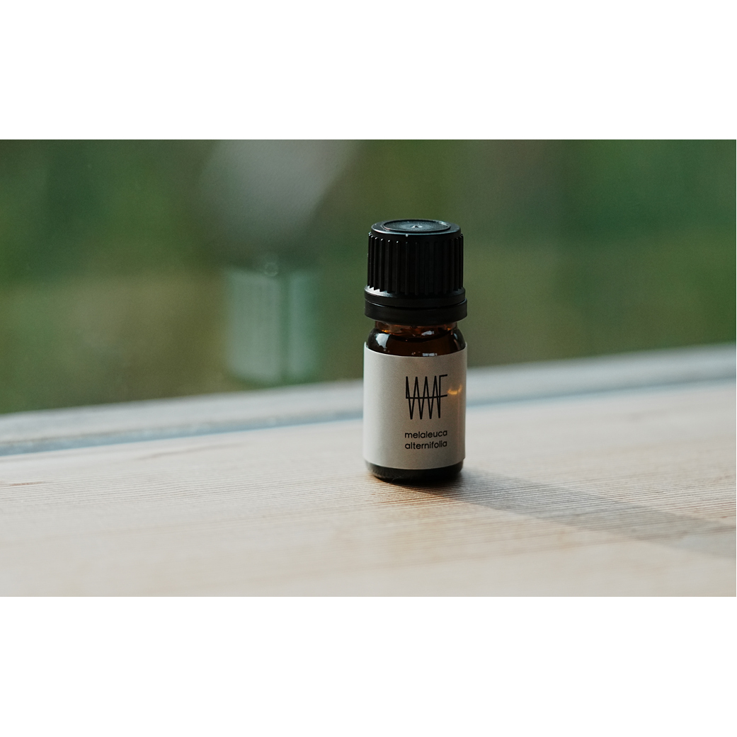 maf Essential oil Tea Tree エッセンシャルオイル 100％天然ティーツリー精油_イメージ2