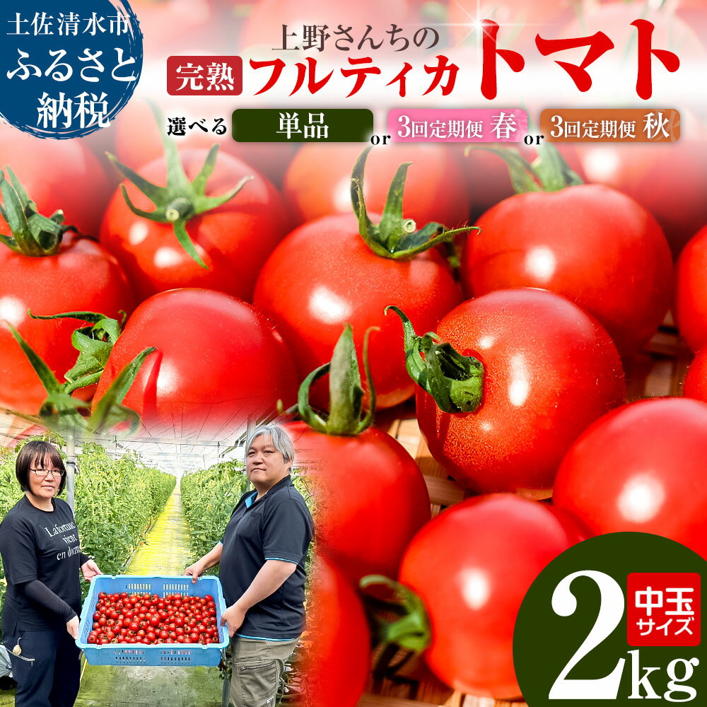 【ふるさと納税】完熟フルティカトマト2kg（中玉サイズ）選べるお届け回数 定期便 天然地下水使用 甘熟ミディトマト フルーツトマト 2000g 2キロ 産地直送 料理 美味しい 甘い 国産 送料無料 高知県 土佐清水市 故郷納税 返礼品 高知【R00286】