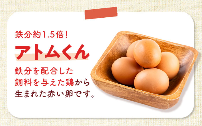 【全3回定期便】安田養鶏場の卵 3種セット しおさい アトムくん タフラン 30個入り（各10個入り） 横須賀市 産地直送 たまご 黄身 濃厚 卵 玉子 タマゴ 鶏卵  【安田養鶏場】 [AKHN01