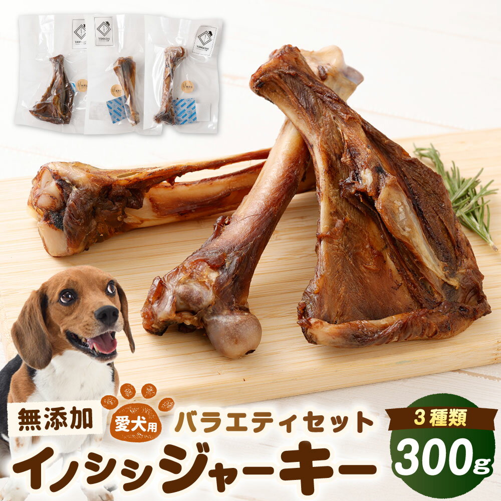 【ふるさと納税】無添加 イノシシジャーキー バラエティセット 3種 （100g×3） 計300g ペットフード 愛犬用 SDGs げんこつ 扇 後脚骨 犬用おやつ ペット ドッグフード 犬用 リュウキュウイノシシ いのしし 猪 徳之島 天城町 鹿児島 送料無料