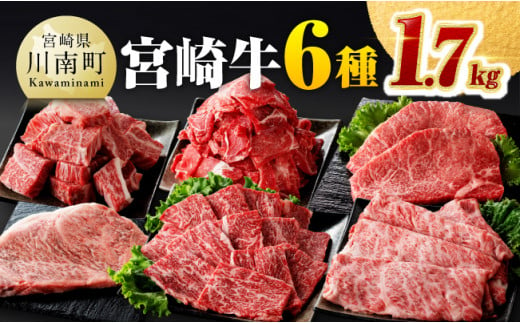 宮崎牛６種 詰め合わせ 1.7kg 【 肉 牛肉 宮崎牛 黒毛和牛 ロースステーキ ウデ 肩ロース チマキ ネック カルビ 焼肉 ミヤチク 】