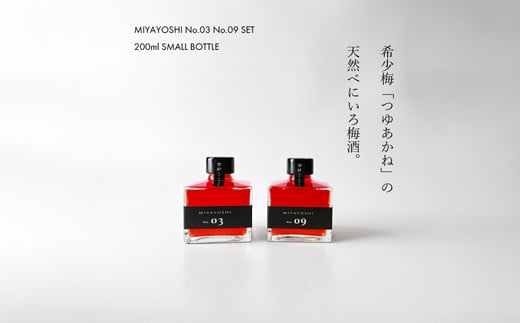 969.MIYAYOSHI No.03・09 2P SET SMALL BOTTLE（A969-2）