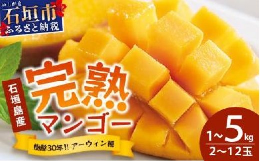 
                  【先行予約】《2026年7月以降より順次発送》【通常or訳あり】石垣島産 マンゴー (アーウィン種) 約1～5kg (2～12玉) ※箱含め約5kg 《樹齢30年の木で育ったマンゴー》｜産地直送 沖縄 石垣島 マンゴー アーウィン マンゴー フルーツ
                