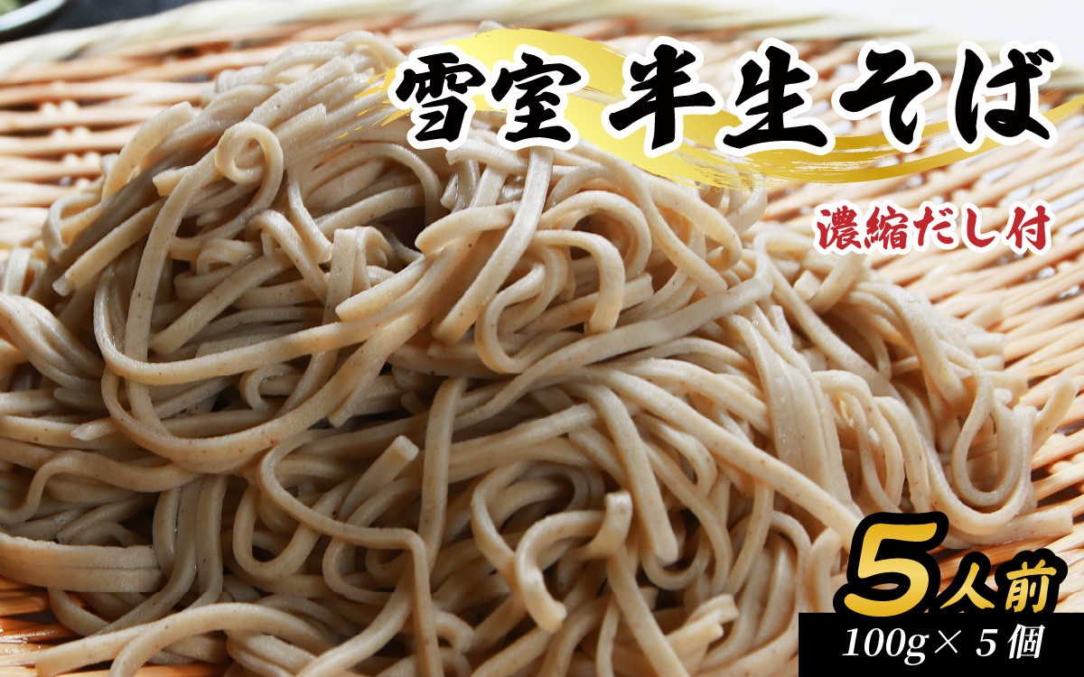 
                  雪室半生そば 5人前（100g/1人前×5個セット） 濃縮だし付  │年越しそば 年越し蕎麦 年越し 年末 蕎麦 そば 玄そば 半生そば だし付き そばつゆ おすすめ 小分け 100g お試し 雪室 国産 福井県 勝山市[A-077005]
                