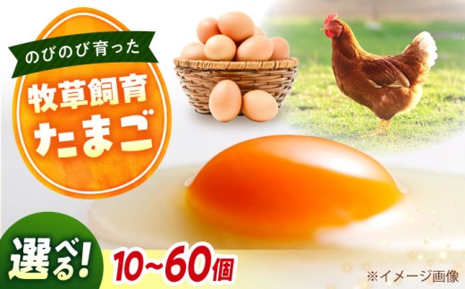 天心山 たまご 【選べる個数】 10個（10個入×5パック）広島県福山市/天心山ファーム 卵 たまご 高級 食品 たまごかけご飯 卵かけご飯 卵焼き 生卵 濃厚 ケーキ お菓子 づくり ランキング 上位 人気 おすすめ  ふるさと納税 TKG 産地直送 新鮮 鶏卵 平飼い 広島 福山 アグリヒーロー 10個 20個 30個 40個 50個 60個 送料無料[BABW015]