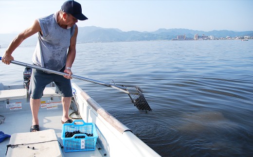 D24-008 東郷湖冷凍しじみ（大粒） 4.5kg