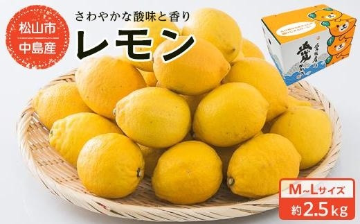 
中島産　レモン M～Lサイズ　約2.5Kg
