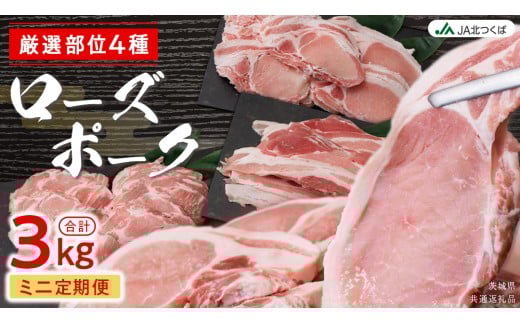 【 厳選 4部位 】至福 の ローズポーク 定期便 ( ミニコース ) ブランド豚 銘柄豚 豚肉 豚 肉 お肉 にく ロース 生姜焼き しゃぶしゃぶ 焼肉 バーベキュー 厚切り とんかつ ポークソテー トンテキ ギフト 贈答 贈り物 茨城県産 茨城県共通返礼品 [AE081ci]