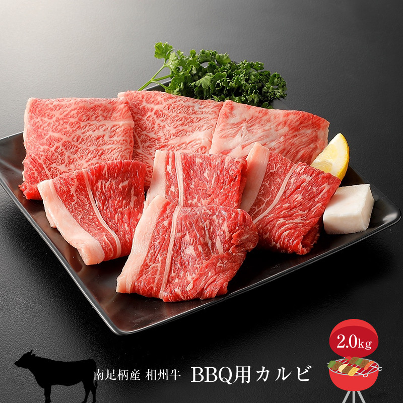 
相州牛　BBQ用セット　2.0kg （厚切り＆薄切りセット） 【 牛肉 お肉 ブランド牛 神奈川県 南足柄市 】
