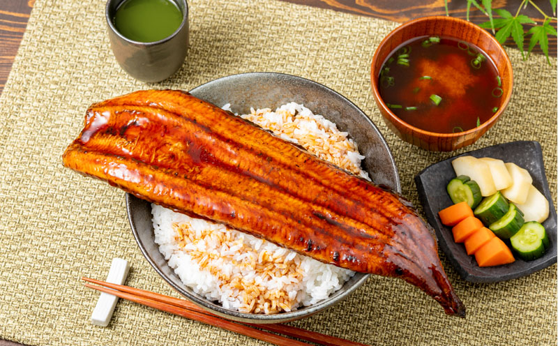 鹿児島産 超特大うなぎ蒲焼240g×1尾　KN021-042-01