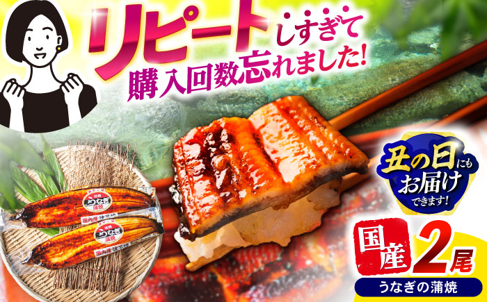 【最速発送】＜諫早淡水＞うなぎ蒲焼2尾 / うなぎ ウナギ 鰻 蒲焼き 蒲焼 かばやき ひつまぶし うな重 うな丼 冷凍 / 諫早市 / 活うなぎ問屋 諫早淡水 [AHAT004]スピード 最短 最速 発送