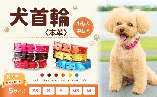 犬首輪 本革製 ペット用品 小型犬 中型犬 ＜選べるサイズ・カラー＞ 犬用品 犬グッズ 犬用首輪 日本製 | 本革 国産人工皮革 ベルエース 耐久性 革職人 愛犬 てるべる 埼玉県 越谷市