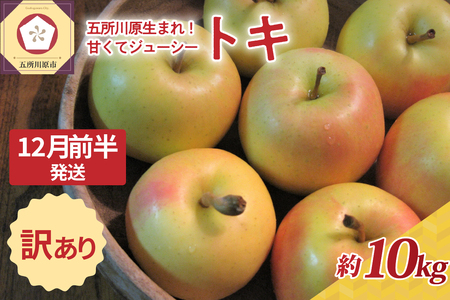 【2025年12月前半発送】りんご【訳あり】約10kg トキ | 黄色いりんご 青森県産りんご 家庭用りんご