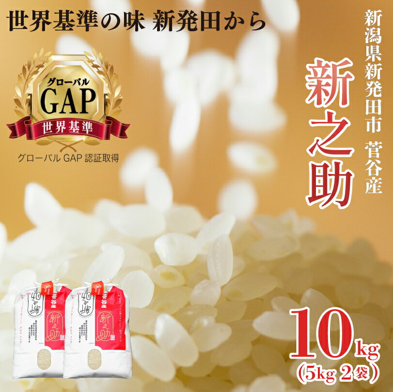 【ふるさと納税】 米 令和7年産 新之助 10kg 新潟県 新発田産 米 越後菅谷 新之助 数量限定 echigosugatani003